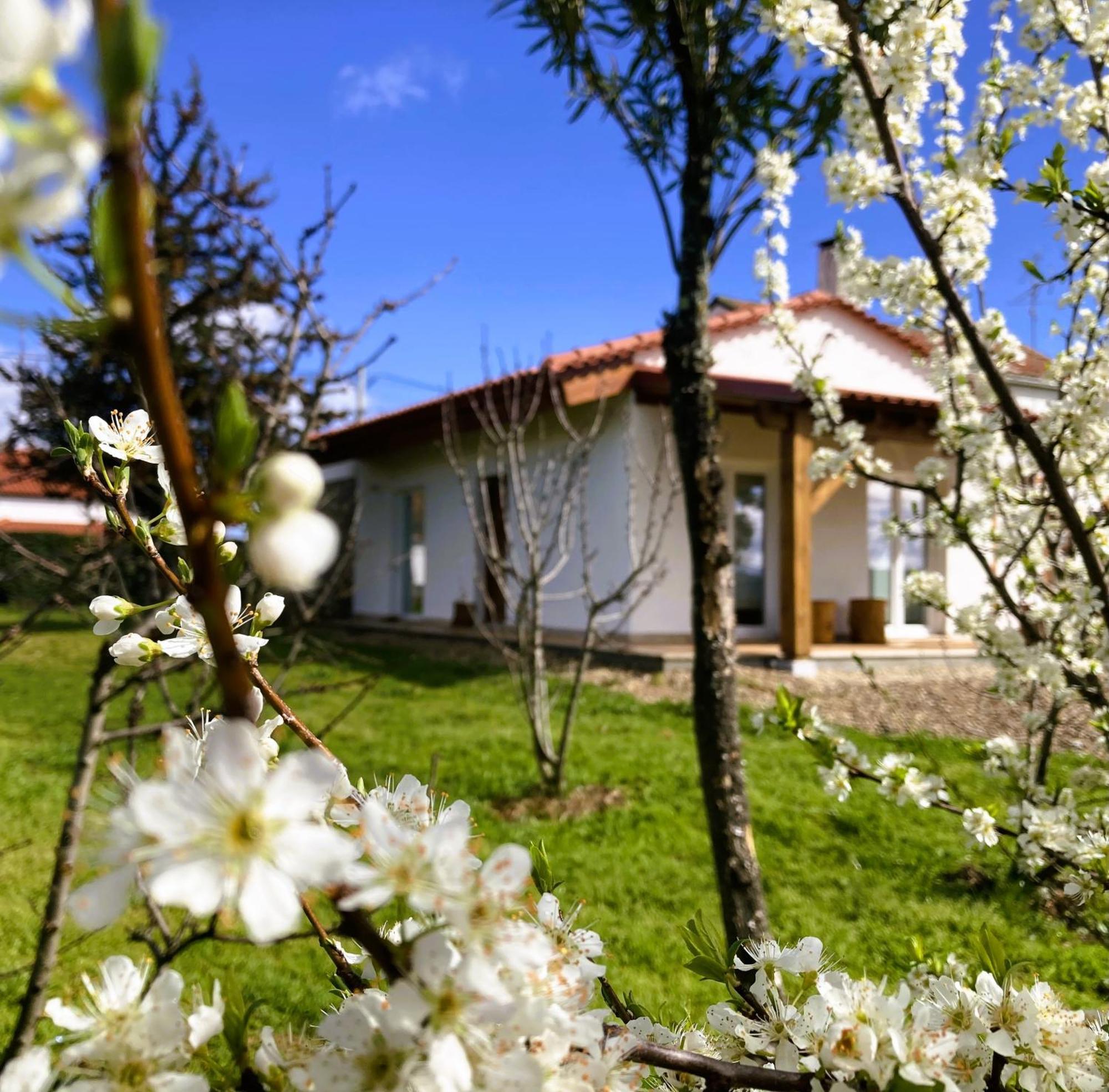 Вилла Ar Da Beira Бельмонте Экстерьер фото